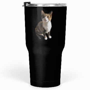 Discover calico cat Classic Tumblers 30 Oz