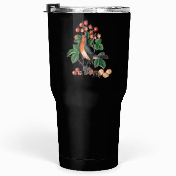 Discover European robin Tumblers 30 Oz