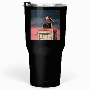 Discover Seagull Tumblers 30 Oz