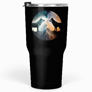 Discover Day and Night Tumblers 30 Oz