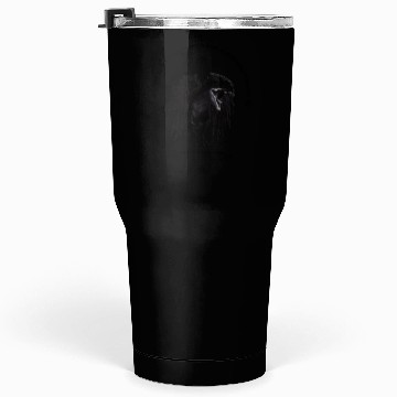 Discover Black dinosaur wings Tumblers 30 Oz
