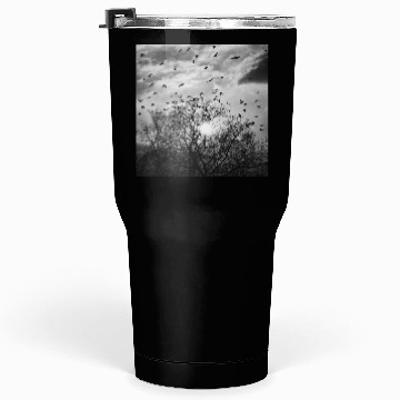 Discover Bird's flight at sunset Tumblers 30 Oz