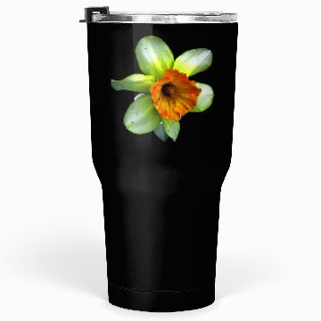Discover Blooming spring daffodil Tumblers 30 Oz