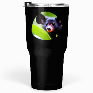 Discover Cute Aye-Aye Lemur Tumblers 30 Oz