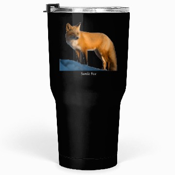 Discover Sunlit Fox Wildlife Nature Tumblers 30 Oz