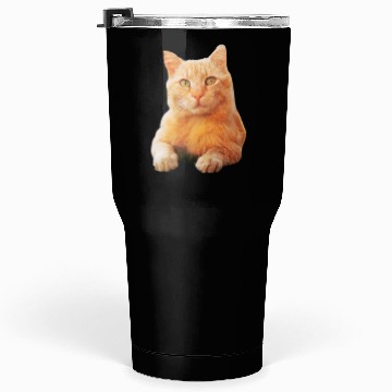 Discover Orange Cat Tumblers 30 Oz
