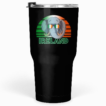 Discover Ireland Tumblers 30 Oz