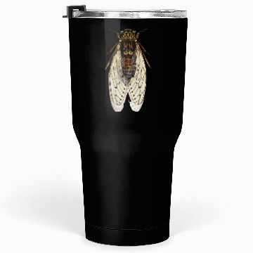 Discover cicada Tumblers 30 Oz