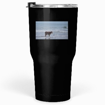 Discover I May Be Stupid Tumblers 30 Oz