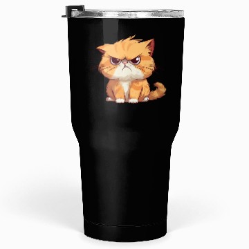 Discover Cat is realy grumpy - A orange grumpy cat Tumblers 30 Oz