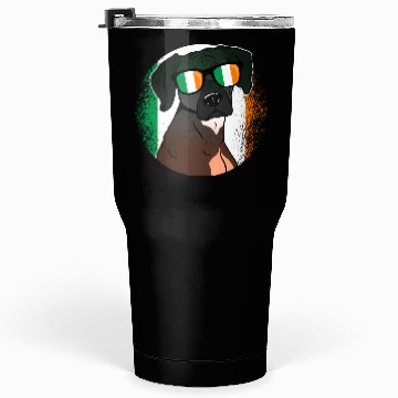Discover Ireland Tumblers 30 Oz