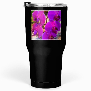 Discover Orchid 4 Tumblers 30 Oz