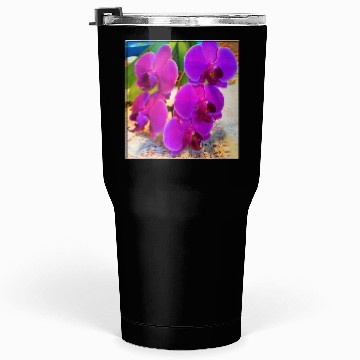 Discover Orchid 2 Tumblers 30 Oz