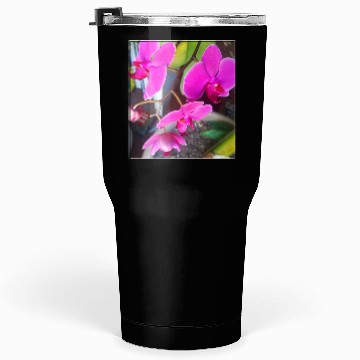 Discover Orchid 1 Tumblers 30 Oz