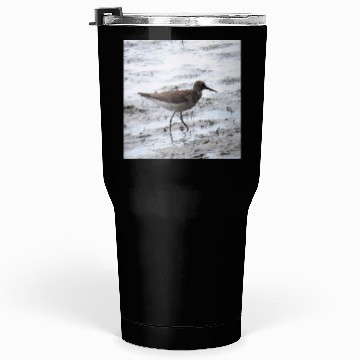 Discover Sandpiper walking along the shore Tumblers 30 Oz
