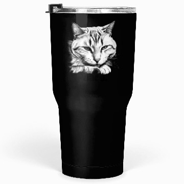 Discover Peaceful Tabby Art Tumblers 30 Oz