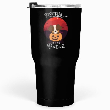 Discover Australian Shepherd cutest pumpkin in the patch Tumblers 30 Oz
