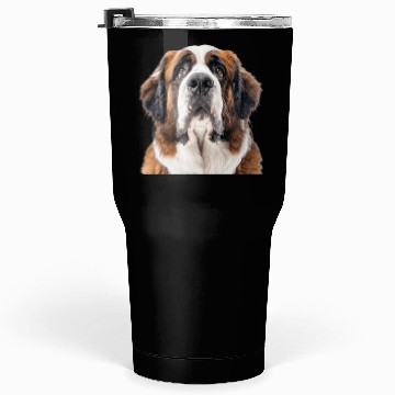 Discover Saint Bernard Tumblers 30 Oz