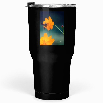 Discover Nature bee Tumblers 30 Oz