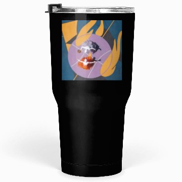 Discover Ballet agility Tumblers 30 Oz