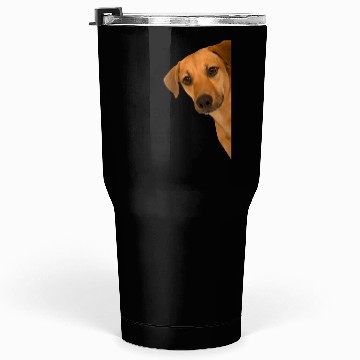 Discover I Saw That - Peeking Dog Tumblers 30 Oz