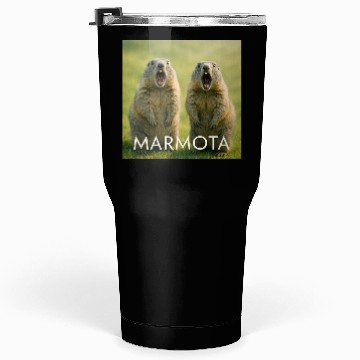 Discover Double Screaming Marmots – Echo of Surprise Tumblers 30 Oz