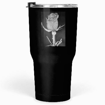 Discover Realistic Graphite Rose & Dew Drawing - RT Art © Tumblers 30 Oz