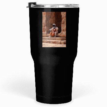 Discover Astronaut with Cello on Ancient Steps Tumblers 30 Oz