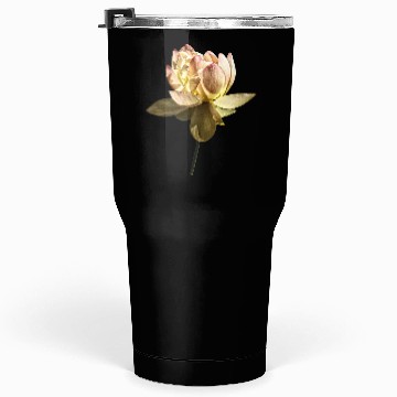 Discover Delicate Pink Lotus Tumblers 30 Oz