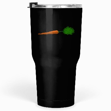 Discover Carrot Tumblers 30 Oz