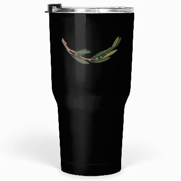 Discover Olive branch 2 Tumblers 30 Oz