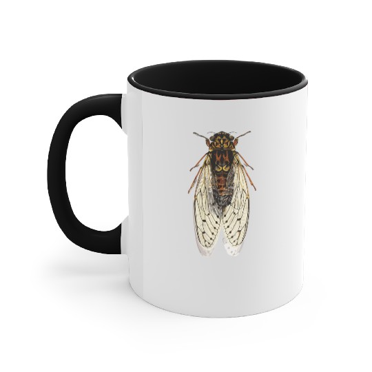 cicada Accent Mugs