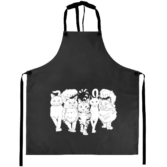 Discover Cat Episode 8 Mid9 Taylor Aprons