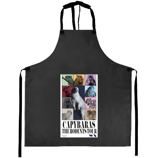 Capybxara Tayslor Sswift Eras Tour Aprons