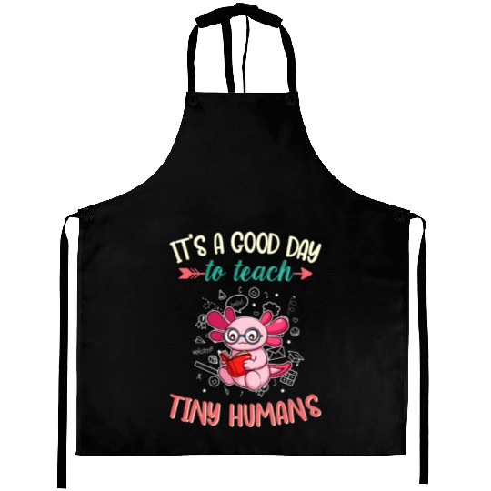 Good Day To Teach Tiny Humans Elementary Teacher Aprons