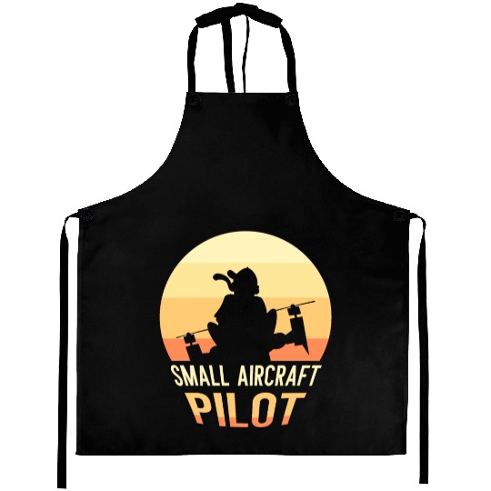 Small Aircraft Pilot Private Small Airplane Aprons