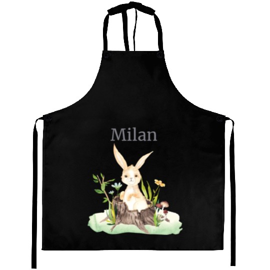Forest Animal Deer Rabbit Hedgehog Flowers Name Aprons