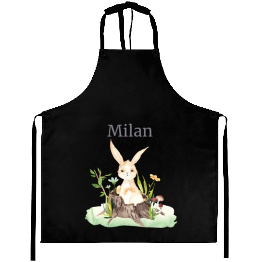 Forest Animal Deer Rabbit Hedgehog Flowers Name Aprons