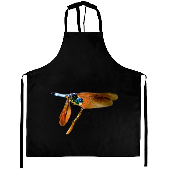 Colorful dragonfly on a branch Aprons