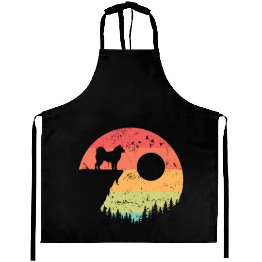 Alaskan Malamute at Sunrise in the Forest Aprons