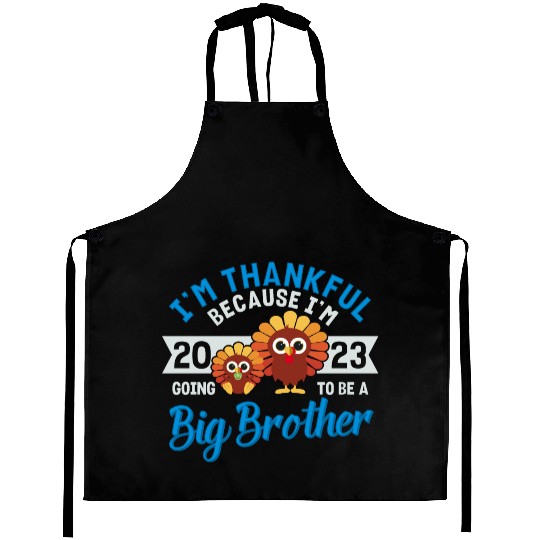Big Brother 2023 Baby Thanksgiving Turkey Boys Aprons