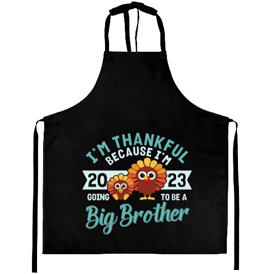 Big Brother 2023 Baby Thanksgiving Turkey Boys Aprons