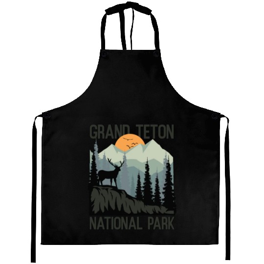 Grand Teton National Park Mountains Wilderness Aprons