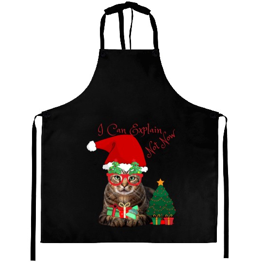 Merry Xmas Aprons