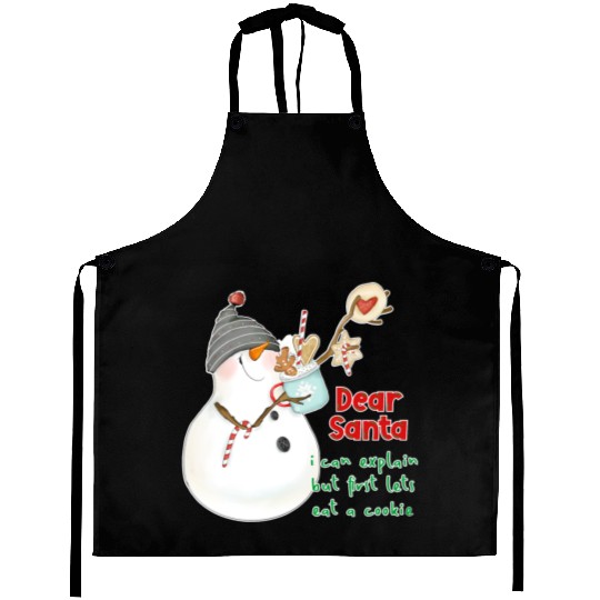 Dear Santa I can explain Aprons