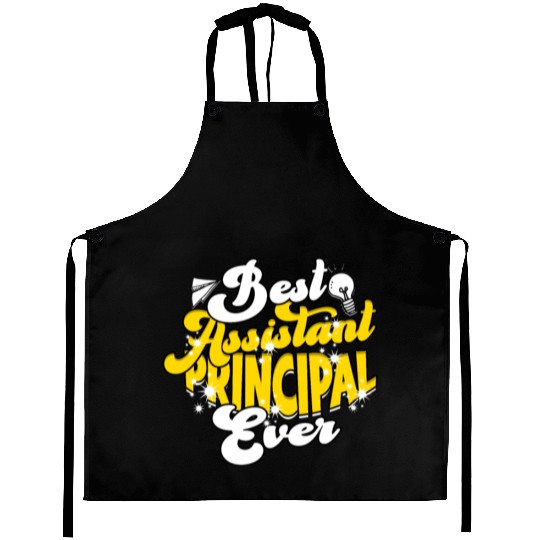 Assistant Principal Back School Teacher Principal Aprons