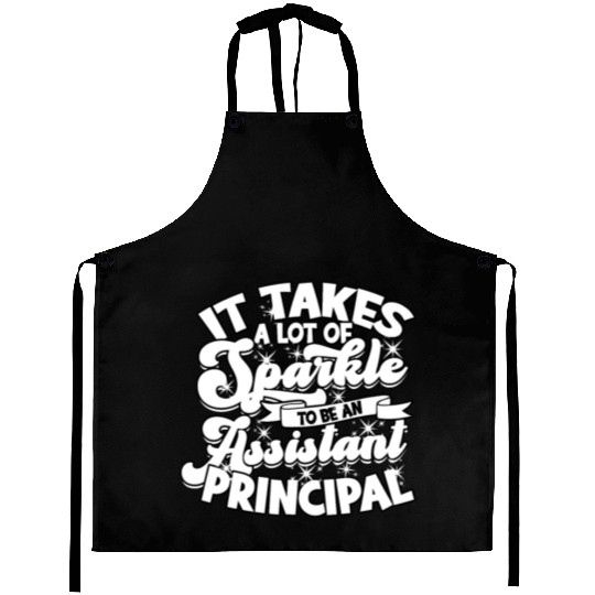 Assistant Principal Back School Teacher Principal Aprons