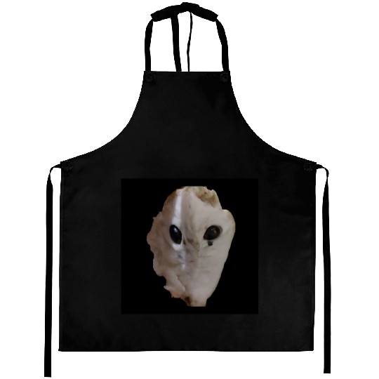 Alien fruit Aprons