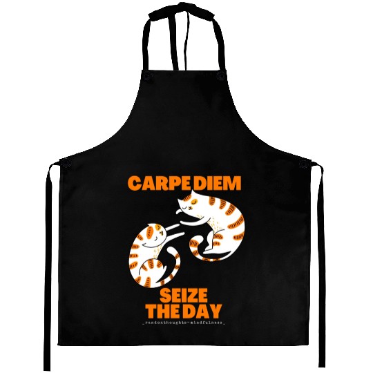 Cats Lover Carpe Diem Seize The Day Aprons