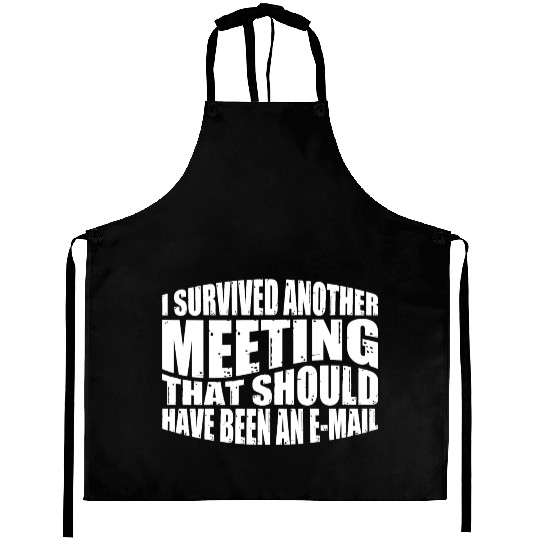 I Survived A Meeting That Should Have Been Mail 43 Aprons